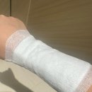 서부낚시 - 제주시 일주서로 7521 | [선상낚시] 오천항 뽀빠이호 쭈꾸장창 쭈꾸미 낚시한 후기_25.09