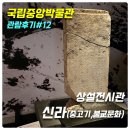 GM대우경주중부바로정비 | [국립중앙박물관 관람후기#12] 상설전시관 신라(중고기,불교문화)
