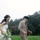 제주스냅 아로하데이 솔직후기 내돈내산(비오는 날 제주스냅, 촬영 꿀팁)