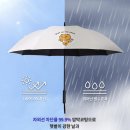 브라보골프탄현그늘점 | 찐리뷰! 비오는 날도, 뜨거운 햇볕도 걱정 끝! 카카오프렌즈골프 70데일리자동암막 우산 내돈내산 후기