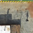 조태형농장 이미지