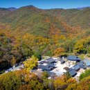 해동택시(주) 이미지