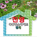 진영(단지앞)공인중개사사무소 이미지