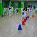정진태권도장 이미지