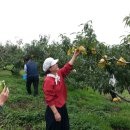 만리농장 이미지