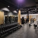 예산유도체육관 | [서울 헬스장 인테리어] 소자본 프리미엄 헬스장 시공 사례