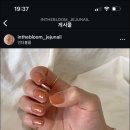 더 블룸 이미지