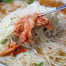 멸치가 살아있는 국수 이미지