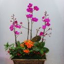 우림약품 이미지