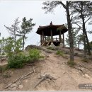 달성정비 | 죽곡산 모암봉 등산 후기 대구 달성군 초보 등산코스 추천