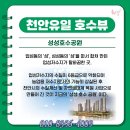 최강부동산중개 네이버블로그