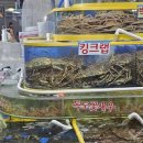 청해 회 수산 | 가락시장 청해수산 방어모둠회 + 대게 내돈내산 후기