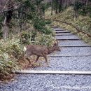존자암지 이미지