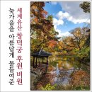 창덕궁 후원(비원)의 가을 이미지