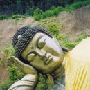 제일특수나이프 이미지