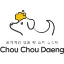 슈슈댕 이미지