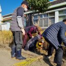 신방초등학교 이미지