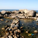 봉포활어회센터 이미지