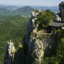 달마고도 이미지