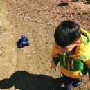 분동농장 이미지