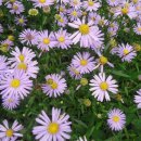 세종회관 이미지