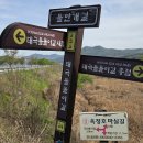 박수철 | 옥정호물안개길 제3코스 태극물돌이길