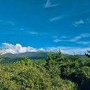 모리 다락방 이미지