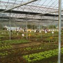 이현숙농장 이미지