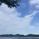 두을도자기카페 | 너무 이른 가을산책이었다(세자트라숲/솔밤시길/이순신공원/ 카페알/통영이여사네건어물)