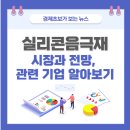 엠글로벌(MG) | 아이오닉에 탑재되는 실리콘음극재 시장과 전망, 관련 기업알아보기