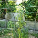 성중농장 이미지