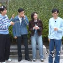 무공해