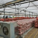 달님농장 이미지