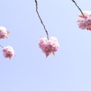 부자전자 이미지