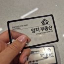 첫 명함제작 성공 후기! 디자인보따리에서 유니크 투명카드