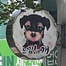 느낌it개 이미지