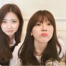 SS엔터테이먼트 이미지