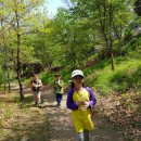 고인돌 역사공원 이미지