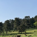 거양길1L-6 | 50대&amp;30대 모녀의 한라산 등산 후기 성판악-성판악 코스