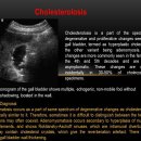 Cholesterolosis 이미지