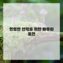 중고이야기