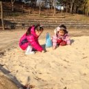 서울숲유아숲체험장 네이버블로그