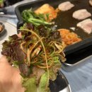 간이식당야간식당 네이버블로그