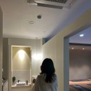 서초중앙로28길 14 (1) | 하루고요 요가&amp;명상, 서울 교대/서초 요가 원데이클래스 비기너 수업 후기☆