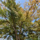 금지보건진료소 이미지