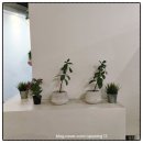 원터2길 4 이미지