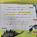 소리영어 상상영어 이미지