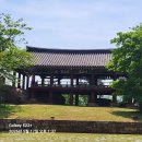 삼척 촛대바위,이사부공원 해변 솔비치 대명콘도를 지나 죽서루 탐방후 장미축제장으로~ 이미지