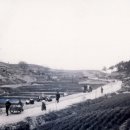 오죽헌주유소 이미지