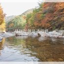 주식회사 바룸 이미지